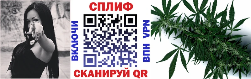 Где купить Мытищи Экстази Мефедрон СОЛЬ Гашиш Канабис Галлюциногенные грибы