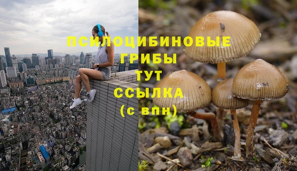 СК Алзамай