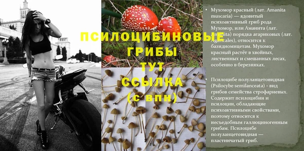 СК Алзамай