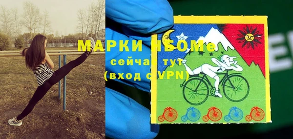 дурь Алексин